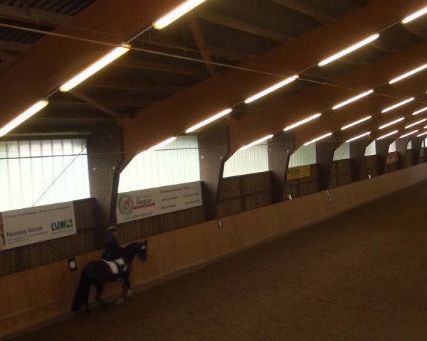 Reitturnier Detmold-Remmighausen 2017
