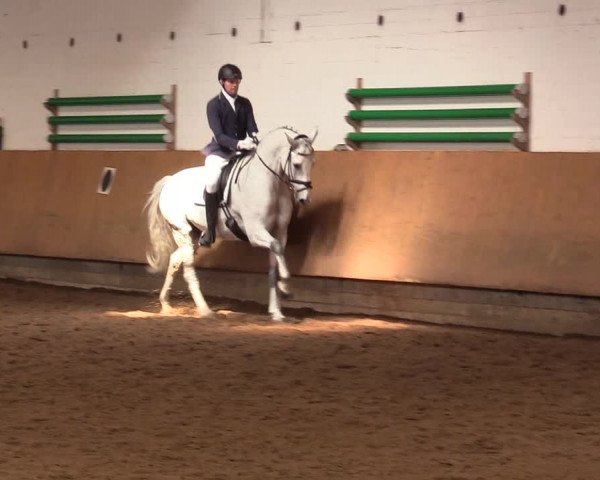 Reitturnier Dortmund-Asseln 2017