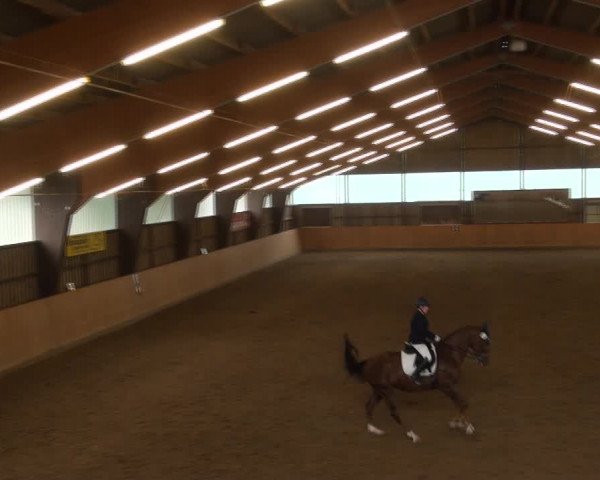 Reitturnier Detmold-Remmighausen 2017