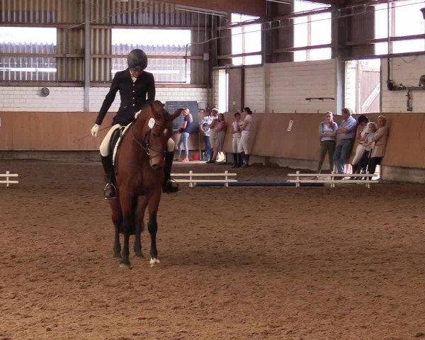 Reitturnier Dortmund-Asseln 2017
