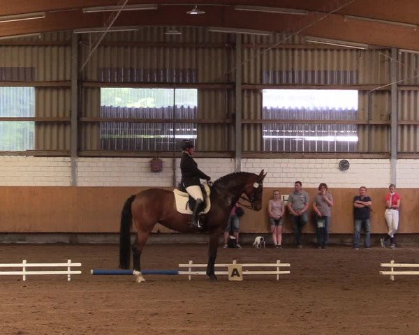 Reitturnier Dortmund-Asseln 2017