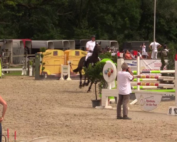 Reitturnier Detmold-Remmighausen 2017