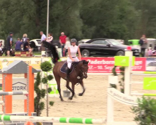 Reitturnier Detmold-Remmighausen 2017
