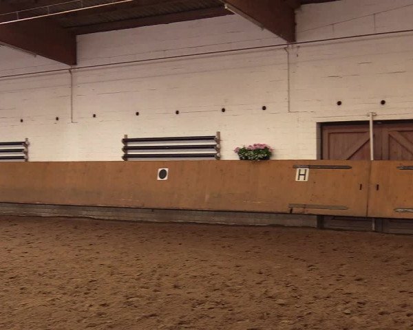 Reitturnier Dortmund-Asseln 2017
