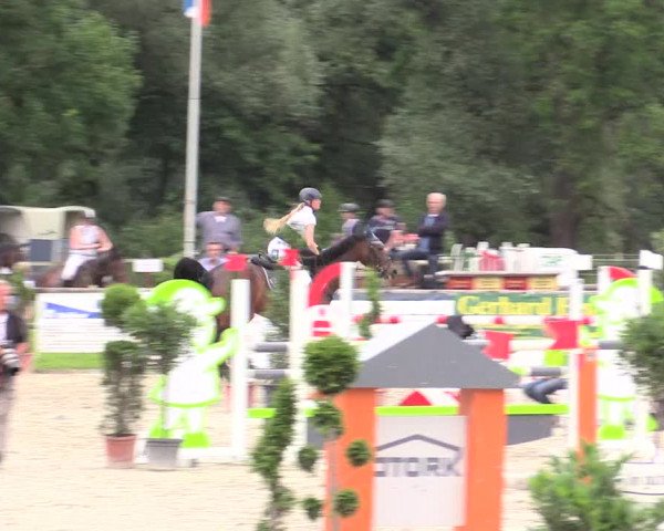 Reitturnier Detmold-Remmighausen 2017