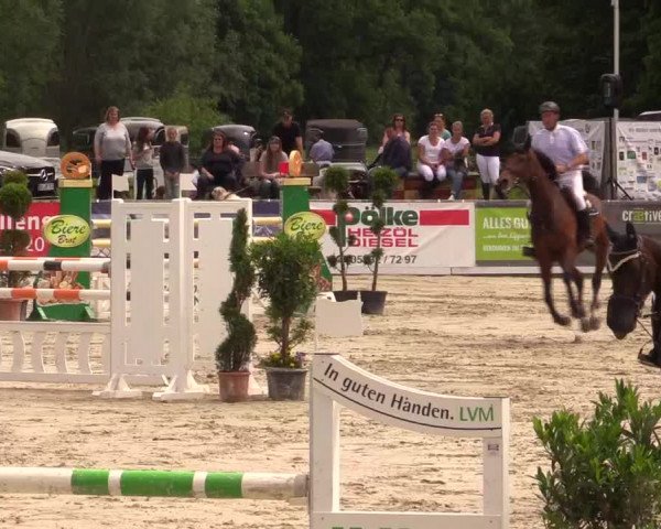 Reitturnier Detmold-Remmighausen 2017