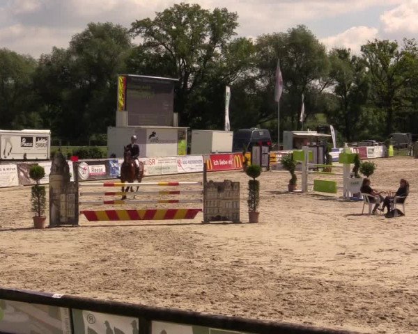 Reitturnier Detmold-Remmighausen 2017