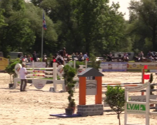 Reitturnier Detmold-Remmighausen 2017