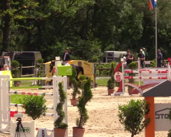 Reitturnier Detmold-Remmighausen 2017