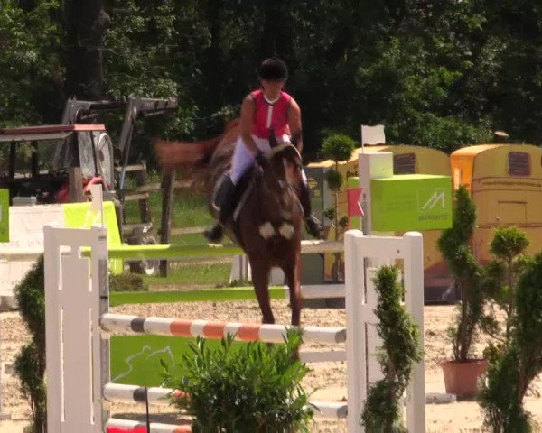 Reitturnier Detmold-Remmighausen 2017