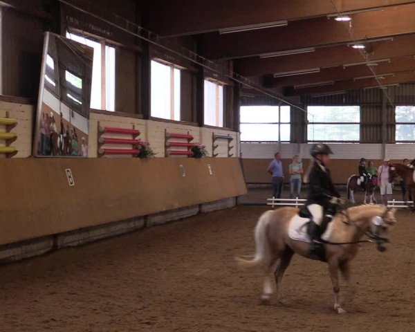 Reitturnier Dortmund-Asseln 2017