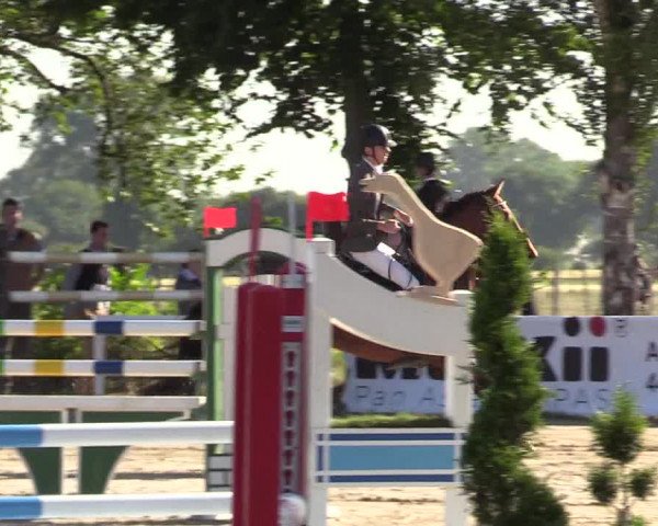 Reitturnier Dortmund-Asseln 2017