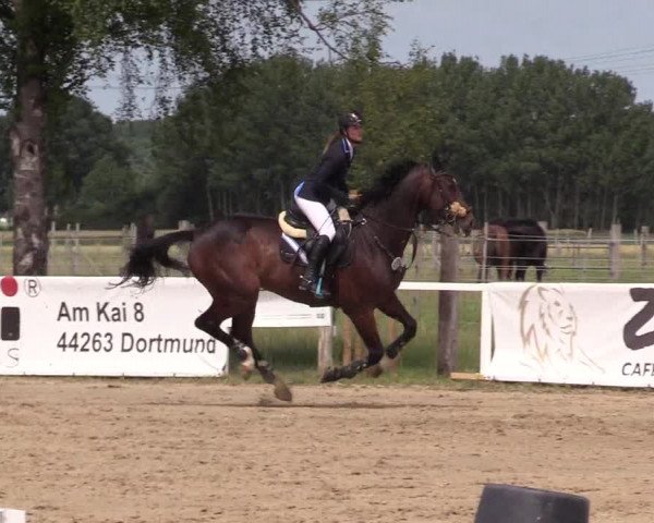 Reitturnier Dortmund-Asseln 2017