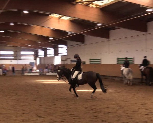 Torneo Equestre Dortmund-Asseln 2017