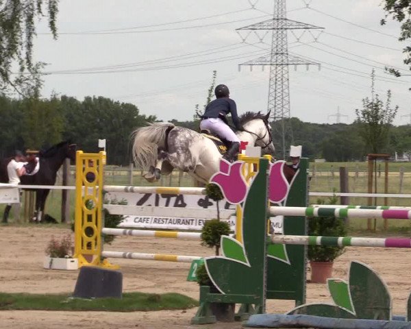 Reitturnier Dortmund-Asseln 2017