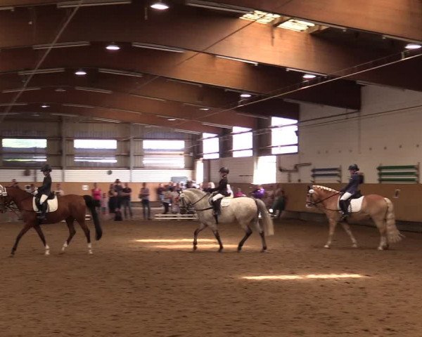 Reitturnier Dortmund-Asseln 2017
