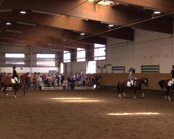 Reitturnier Dortmund-Asseln 2017