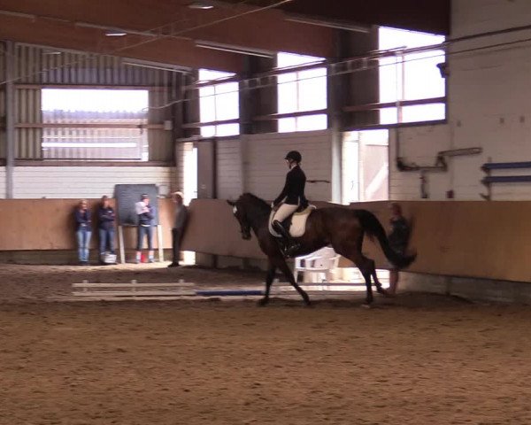 Reitturnier Dortmund-Asseln 2017