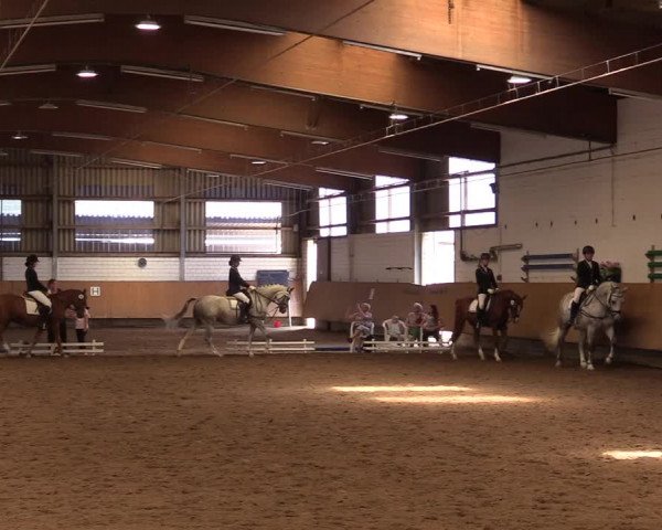 Reitturnier Dortmund-Asseln 2017