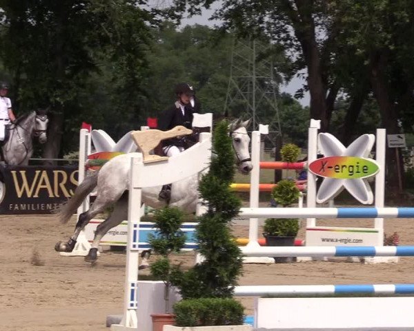 Reitturnier Dortmund-Asseln 2017