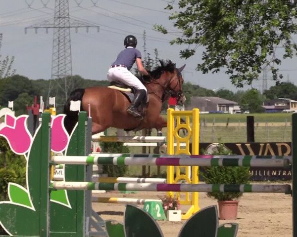 Reitturnier Dortmund-Asseln 2017