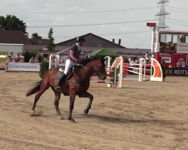Reitturnier Dortmund-Asseln 2017