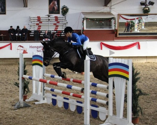 Springpferd Morgana (Westfale, 2006, von Montendro)
