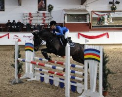 jumper Morgana (Westphalian, 2006, from Montendro)