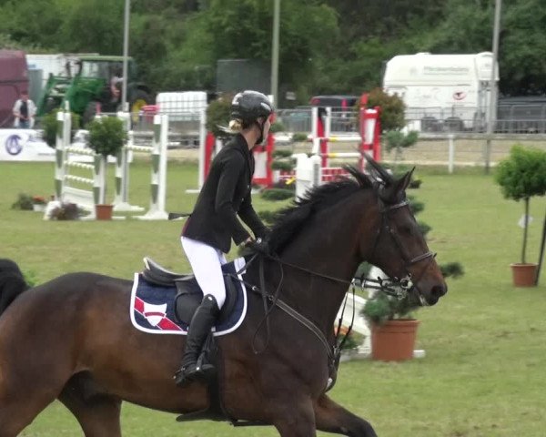 Reitturnier Düren - An der Kuhbrücke 2017