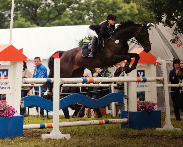 jumper Definitely Dobby R (Hanoverian, 2006, from De Janeiro)