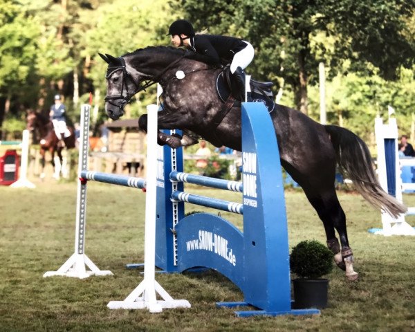 broodmare Certainly Carlotta G (Oldenburg, 2011, from Campus 25)