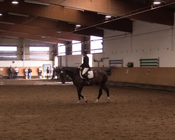 Reitturnier Dortmund-Asseln 2017