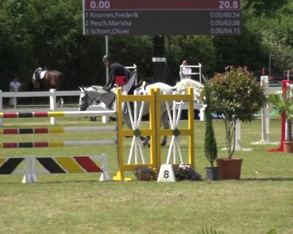 Reitturnier Düren - An der Kuhbrücke 2017
