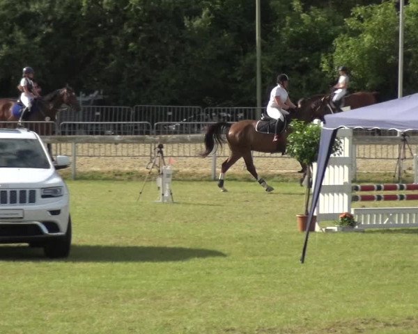 Reitturnier Düren - An der Kuhbrücke 2017