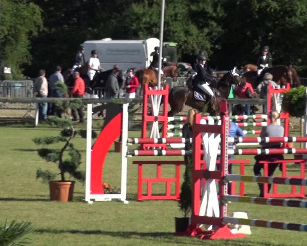 Reitturnier Düren - An der Kuhbrücke 2017