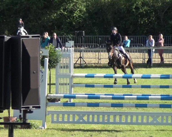 Reitturnier Düren - An der Kuhbrücke 2017