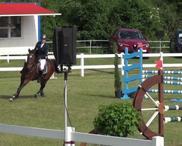 Reitturnier Düren - An der Kuhbrücke 2017