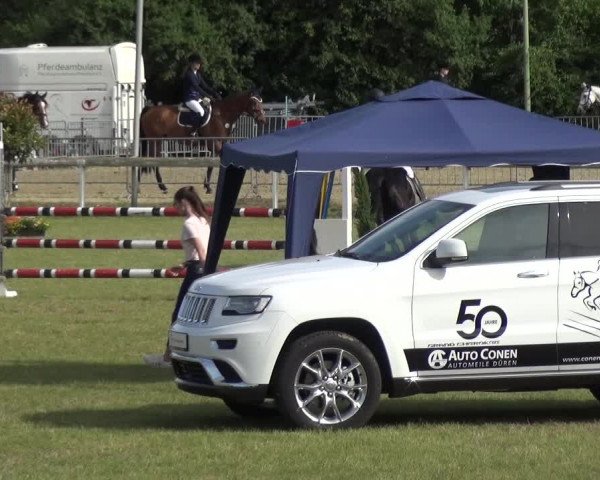 Reitturnier Düren - An der Kuhbrücke 2017