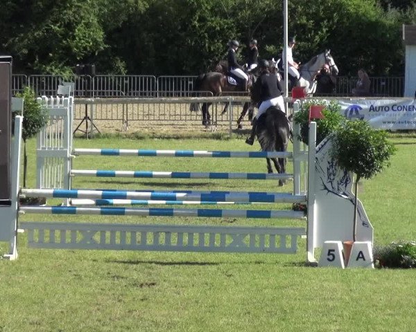 Reitturnier Düren - An der Kuhbrücke 2017