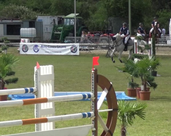 Reitturnier Düren - An der Kuhbrücke 2017