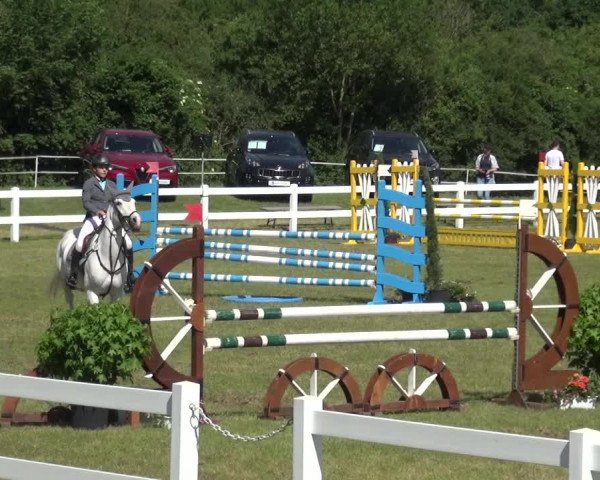 Reitturnier Düren - An der Kuhbrücke 2017