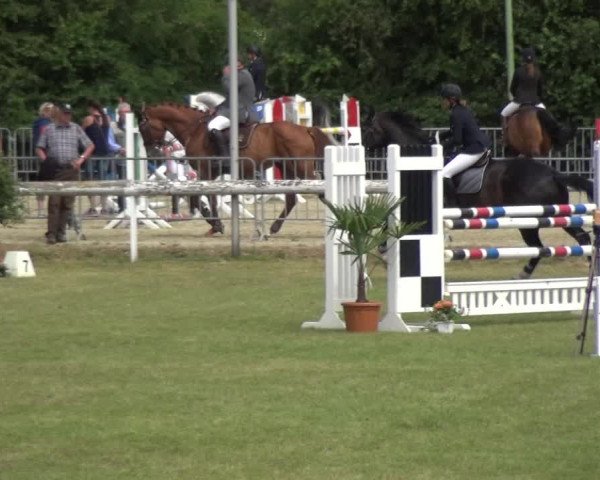 Reitturnier Düren - An der Kuhbrücke 2017