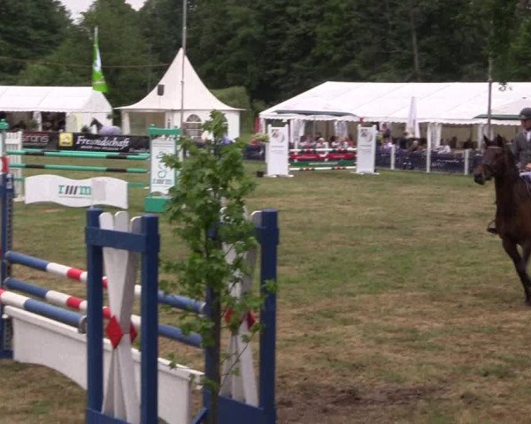 Reitturnier Borken 2017