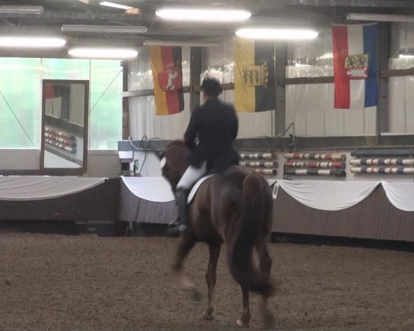 Reitturnier Bochum-Nord 2017