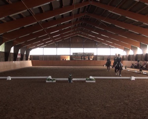 Reitturnier Detmold-Remmighausen 2017