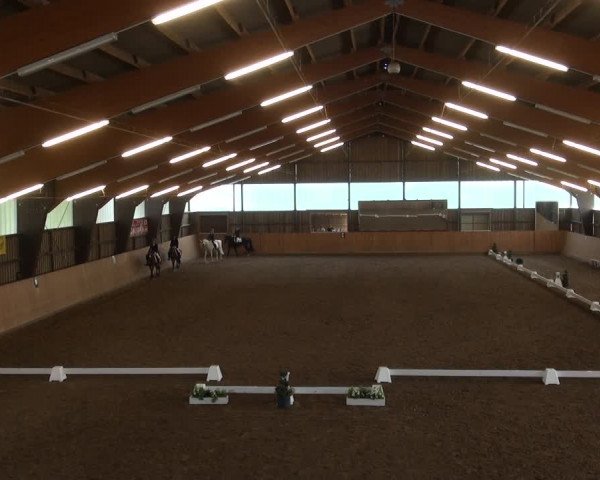 Reitturnier Detmold-Remmighausen 2017