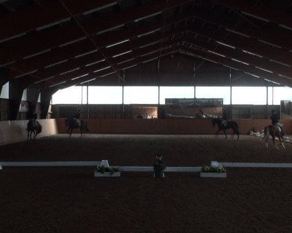 Reitturnier Detmold-Remmighausen 2017