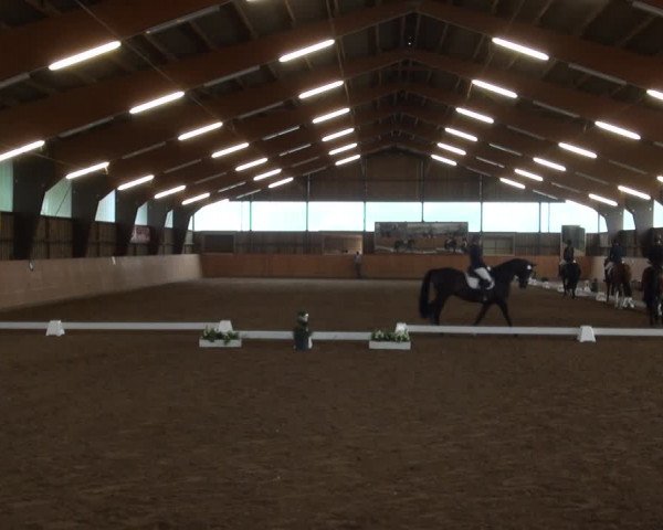 Reitturnier Detmold-Remmighausen 2017