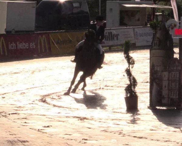 Reitturnier Detmold-Remmighausen 2017