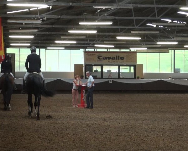 Reitturnier Bochum-Nord 2017